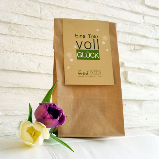 images Geschenktüte – Bild 1